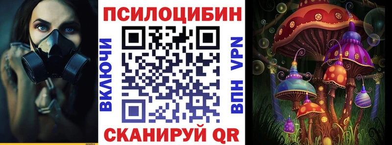 Псилоцибиновые грибы Psilocybe  Кимры 